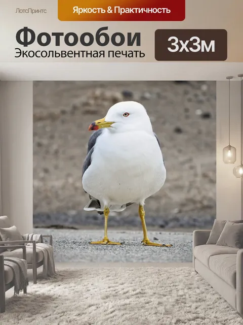 Фотообои Животное