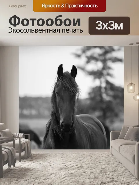 Фотообои Лошадь
