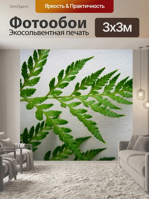 Фотообои зеленые листья папоротника