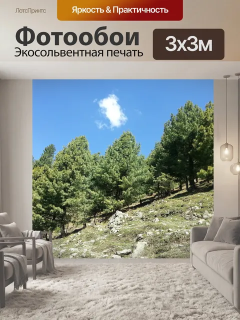 Фотообои Деревья