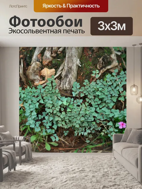 Фотообои папоротник рост