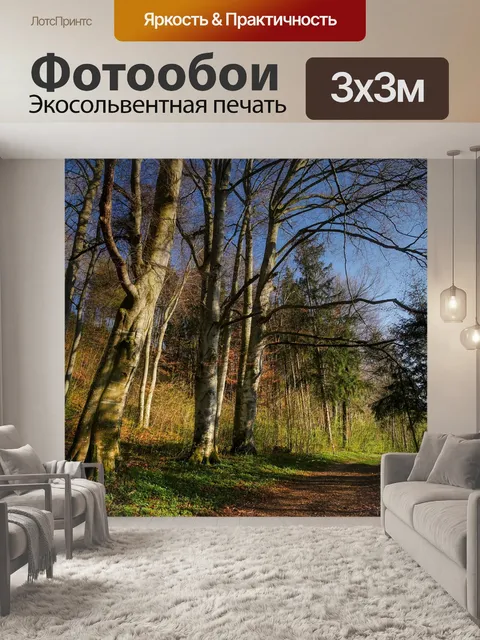 Фотообои Лес