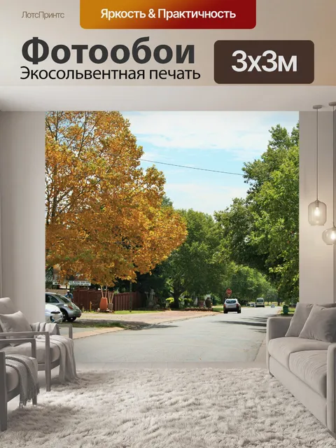 Фотообои клен