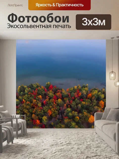 Фотообои Деревья