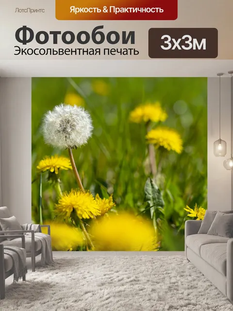 Фотообои Одуванчик