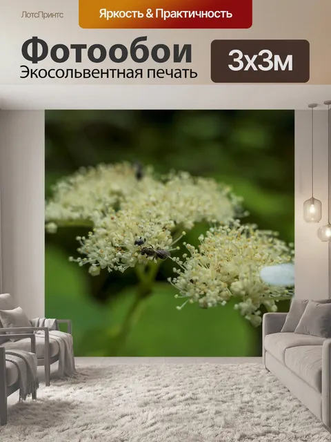 Фотообои Цветы