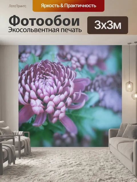 Фотообои Цветочный сад астры