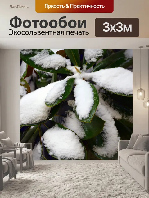 Фотообои Snow Covered Листья
