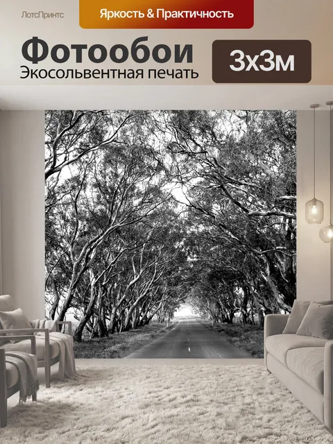 Фотообои Дорога