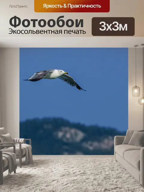 Фотообои Птицы