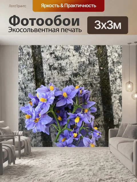 Фотообои Изгородь