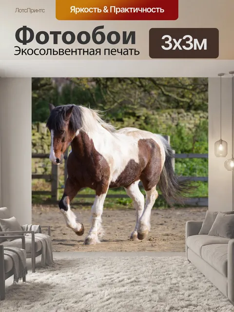 Фотообои лошадь