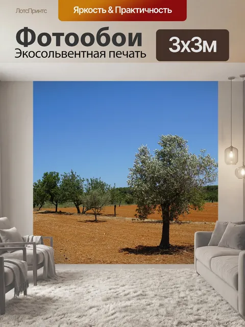 Фотообои Оливки