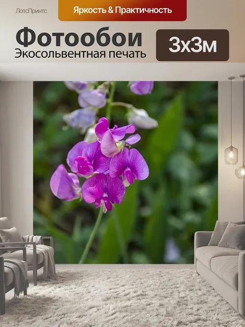 Фотообои орхидея