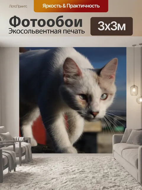 Фотообои Кошки