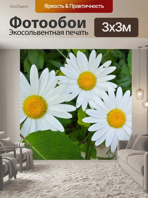 Фотообои Цветы