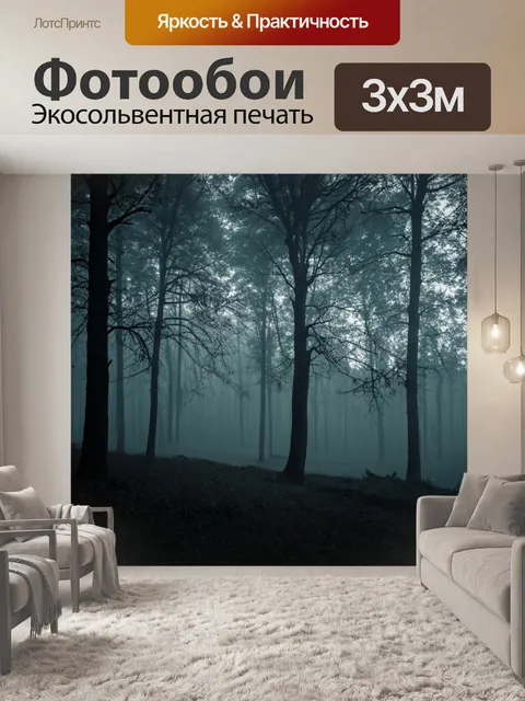 Фотообои туманный лес с темными фигурами деревьев и утренним светом