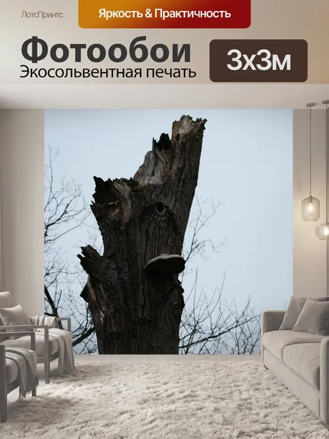 Фотообои Дерево