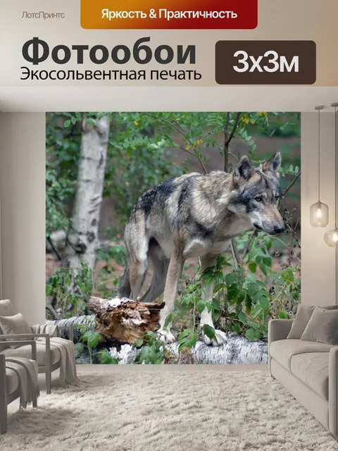 Фотообои Волк