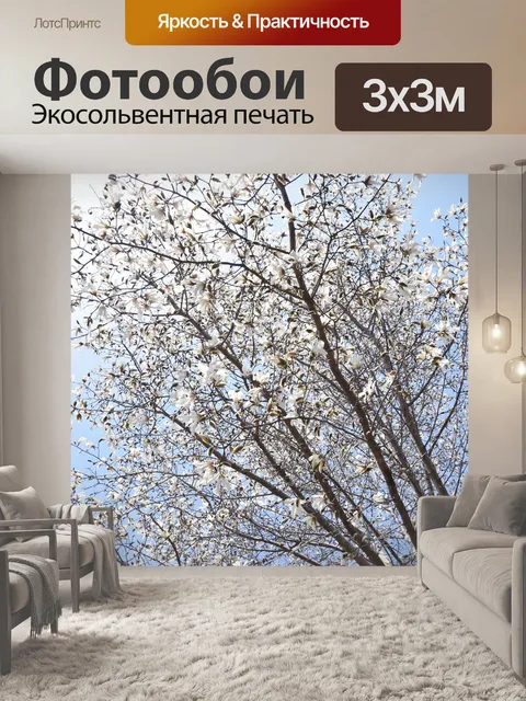 Фотообои Магнолия
