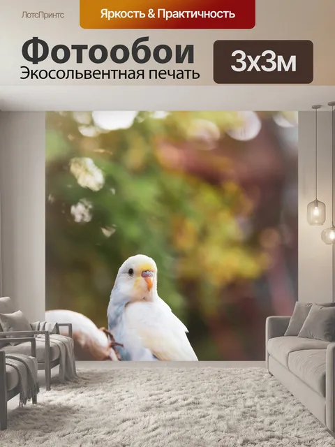 Фотообои Птицы