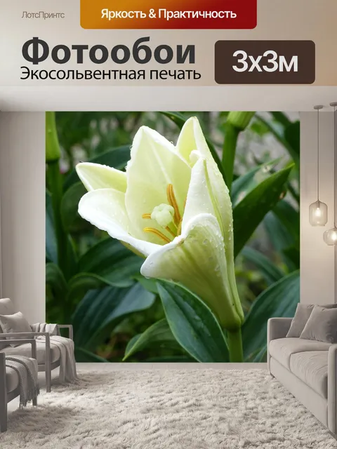 Фотообои Лили