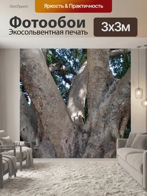 Фотообои сильный густой дерево база