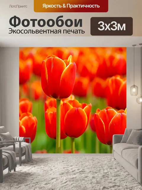 Фотообои Цветы