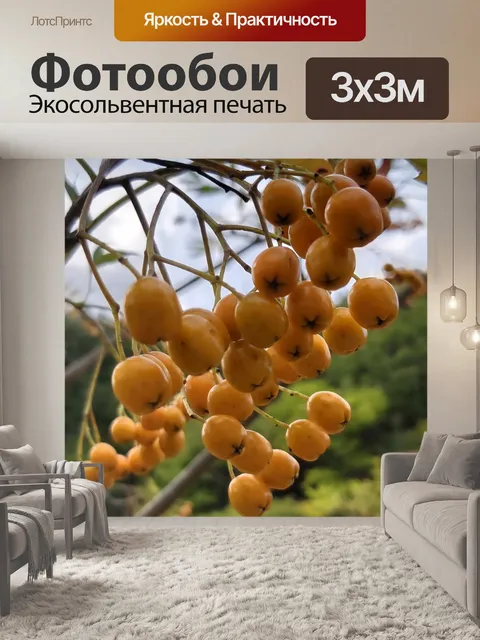 Фотообои Природа