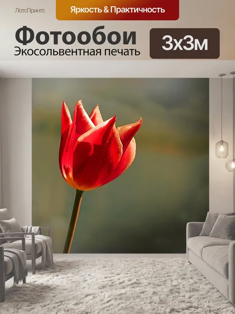 Фотообои Расцветает