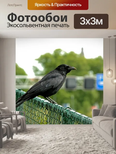 Фотообои Птица