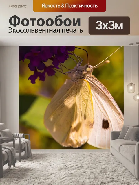 Фотообои Бабочка