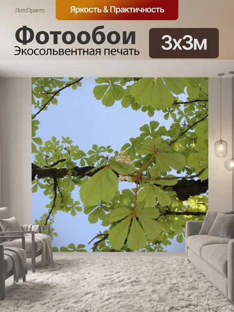 Фотообои Дерево каштан