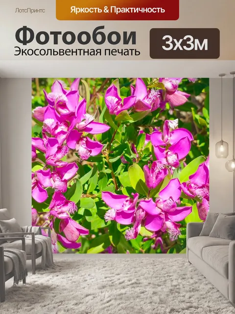 Фотообои розовые средиземноморские цветы