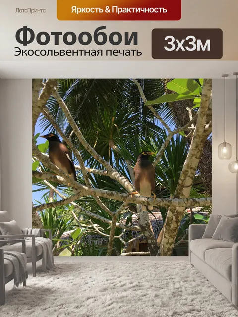 Фотообои Азия