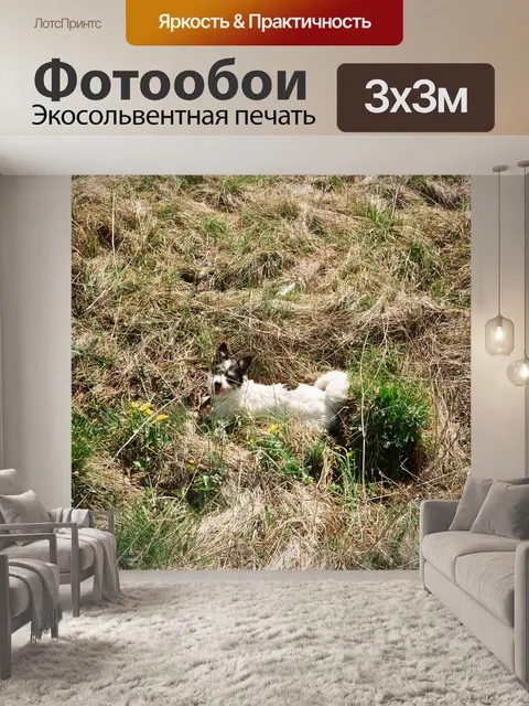 Фотообои Счастливые сука