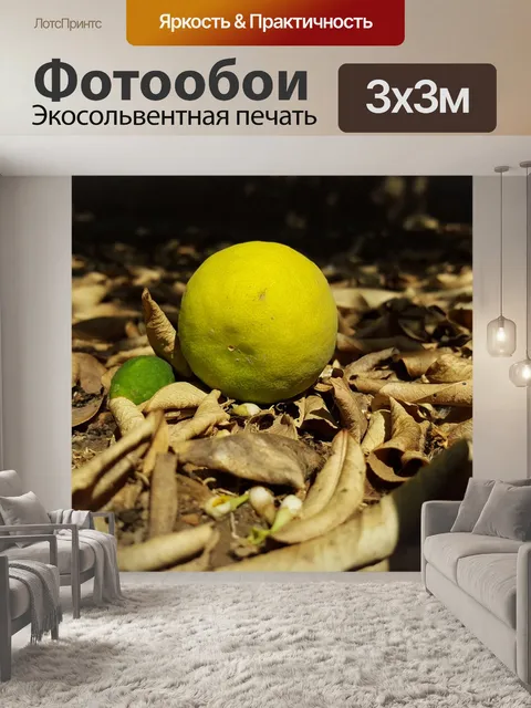 Фотообои Лимон