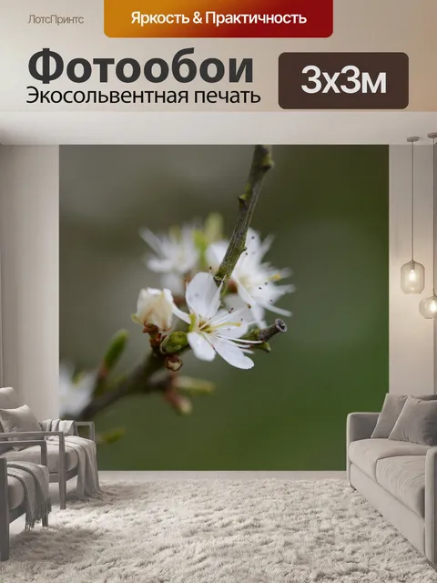 Фотообои Цветы