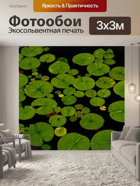 Фотообои Листья