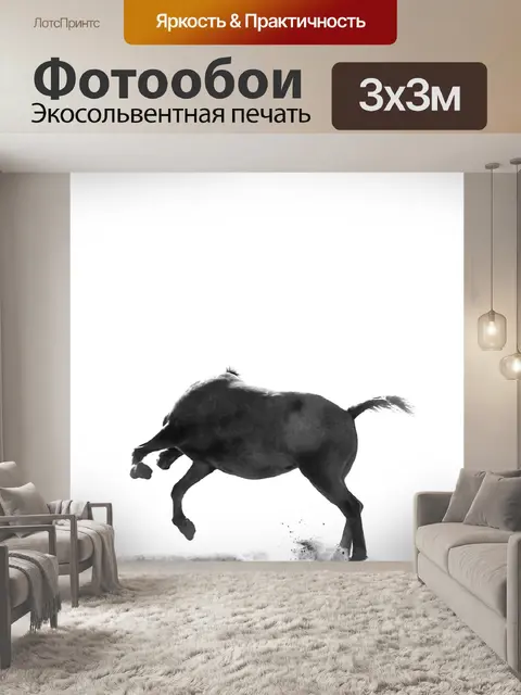 Фотообои Лошадь