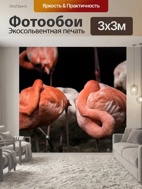 Фотообои Фламинго