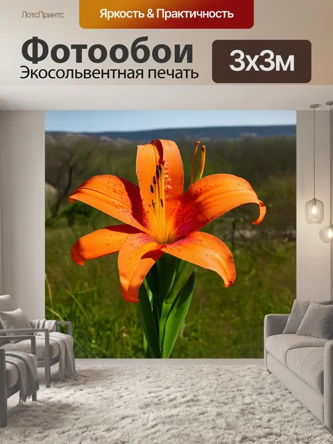 Фотообои оранжевый цвет: оранжевая лилия на фоне пейзажа, создающая яркий акцент в рамках фотографии