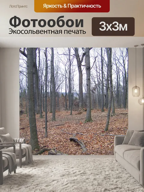 Фотообои Уинтер Вудс