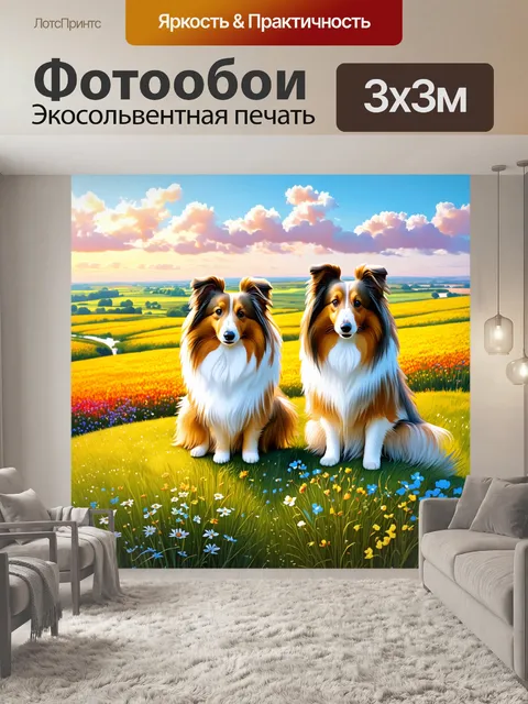 Фотообои пейзаж с двумя шелти, сидящими на вершине холма с видом на бескрайние поля, усеянные дикими цветами