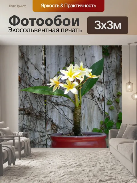 Фотообои Цветы