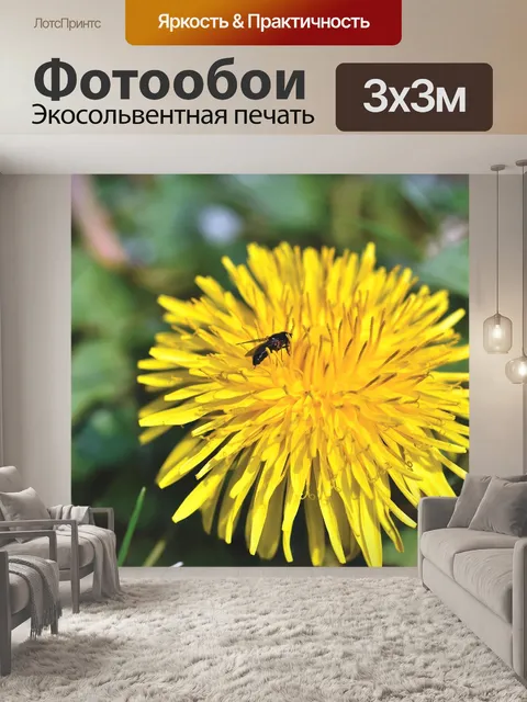 Фотообои Одуванчик