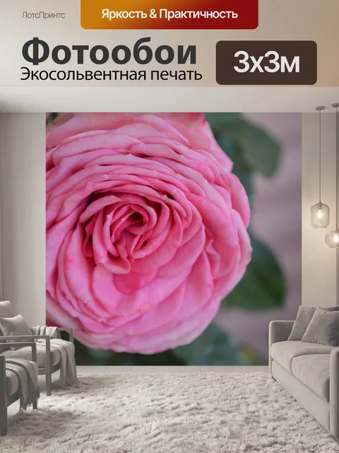 Фотообои Роза