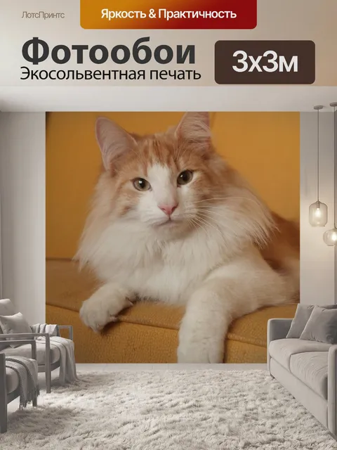 Фотообои Кошка