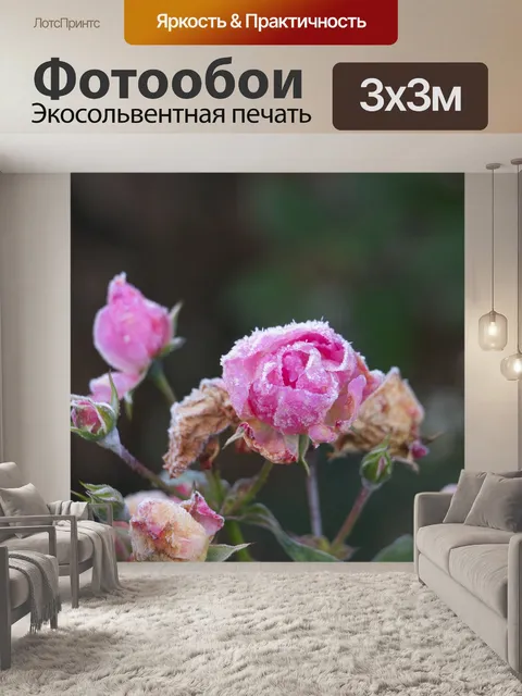 Фотообои Роза