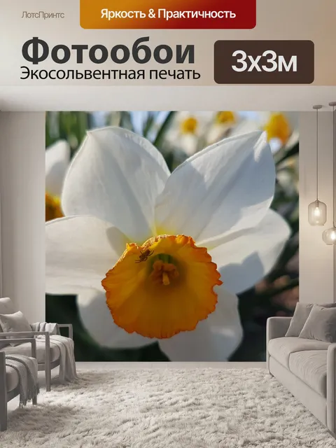 Фотообои Природа